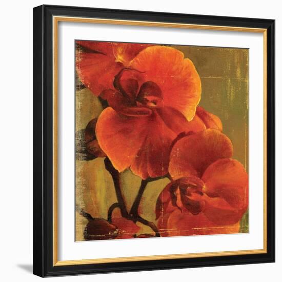 On Fire II-Andrew Michaels-Framed Art Print