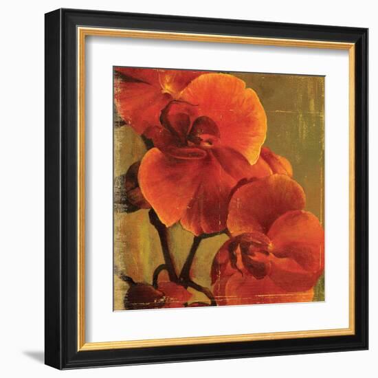 On Fire II-Andrew Michaels-Framed Art Print