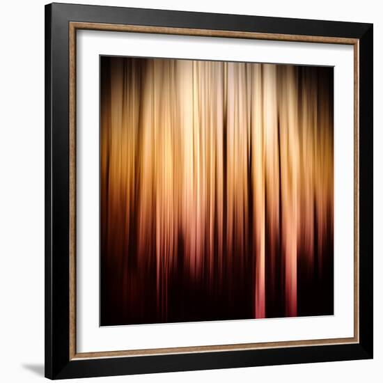 On Fire-Ursula Abresch-Framed Photographic Print