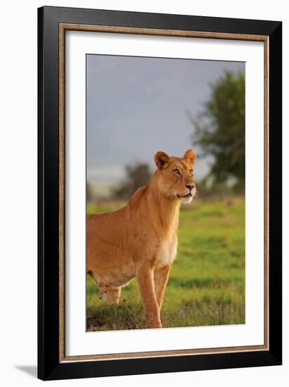 On Guard-Susann Parker-Framed Photographic Print