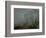 On High Moors I-Doug Chinnery-Framed Photographic Print