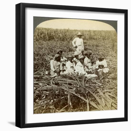 On 'La Union' Sugar Plantation, San Luis, Santiago Province, Cuba, 1899-Underwood & Underwood-Framed Giclee Print