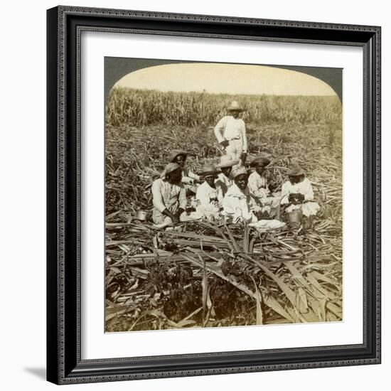 On 'La Union' Sugar Plantation, San Luis, Santiago Province, Cuba, 1899-Underwood & Underwood-Framed Giclee Print