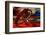 On Mars-Ursula Abresch-Framed Photographic Print