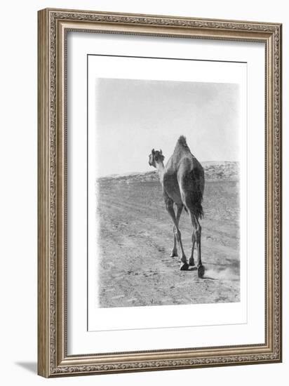 On My Way 2-Sheldon Lewis-Framed Art Print