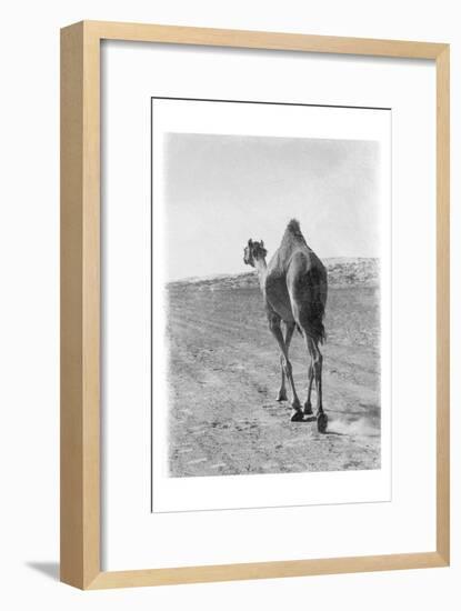 On My Way 2-Sheldon Lewis-Framed Art Print