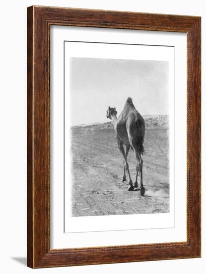 On My Way 2-Sheldon Lewis-Framed Art Print