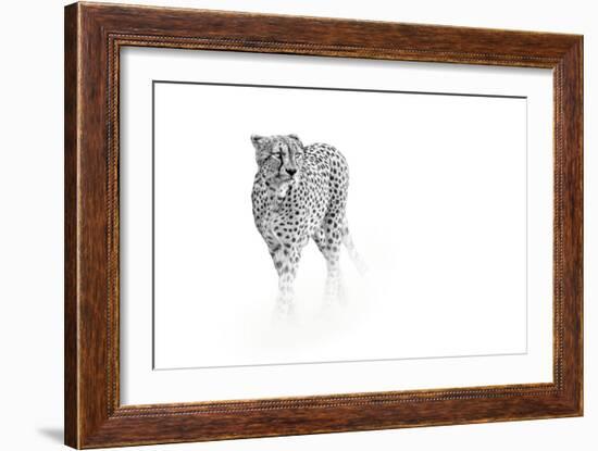 On Prowl-Anita Singh-Framed Giclee Print