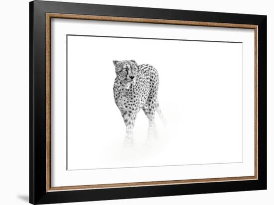 On Prowl-Anita Singh-Framed Giclee Print