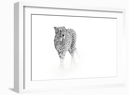 On Prowl-Anita Singh-Framed Giclee Print