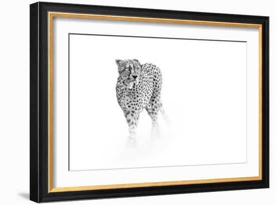 On Prowl-Anita Singh-Framed Giclee Print