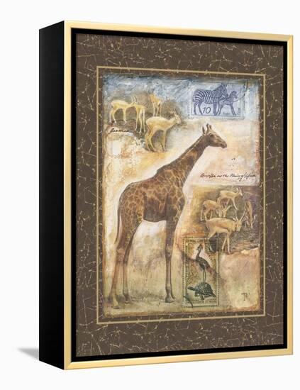 On Safari II-Tina Chaden-Framed Stretched Canvas