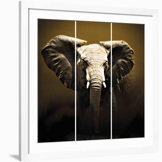 On Safari-Bobbie Goodrich-Framed Giclee Print