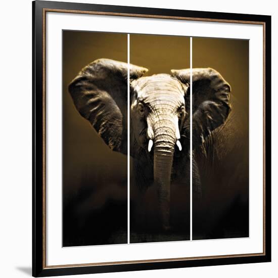 On Safari-Bobbie Goodrich-Framed Giclee Print