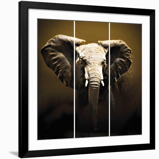 On Safari-Bobbie Goodrich-Framed Giclee Print