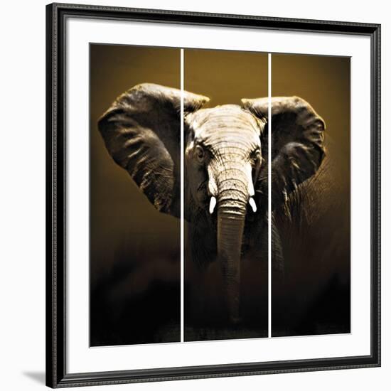 On Safari-Bobbie Goodrich-Framed Giclee Print