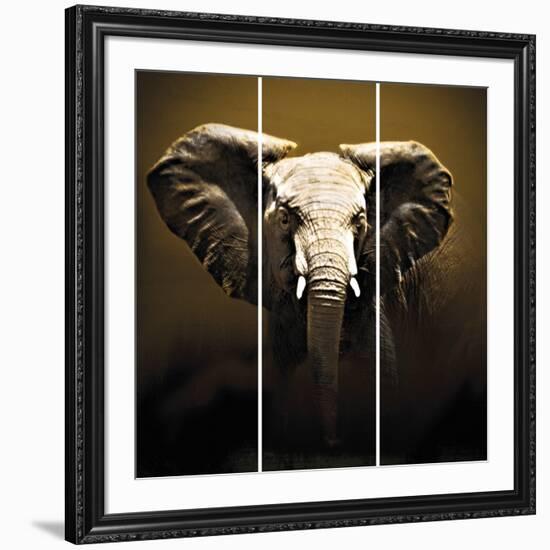 On Safari-Bobbie Goodrich-Framed Giclee Print