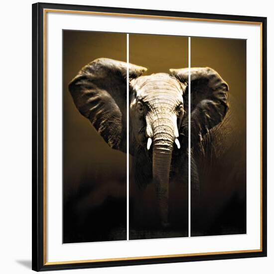 On Safari-Bobbie Goodrich-Framed Giclee Print