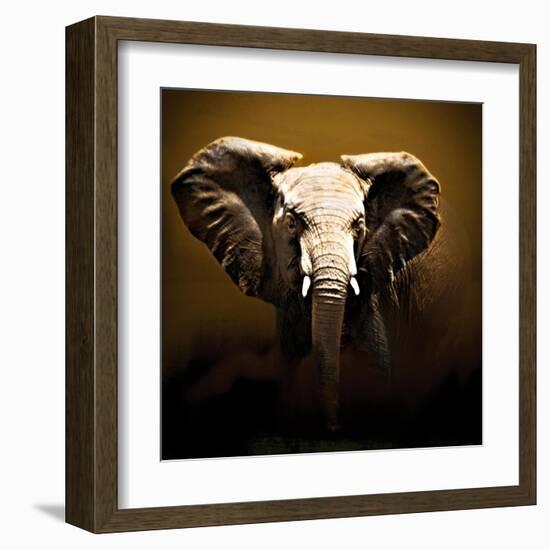 On Safari-Bobbie Goodrich-Framed Art Print