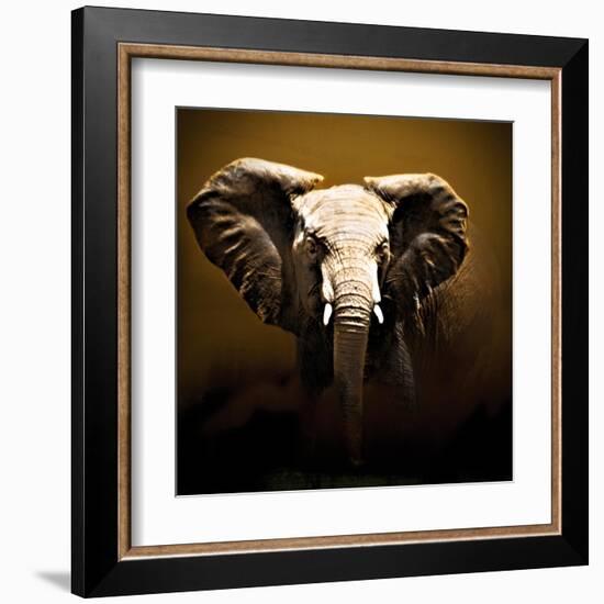 On Safari-Bobbie Goodrich-Framed Art Print