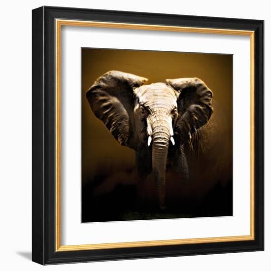 On Safari-Bobbie Goodrich-Framed Art Print