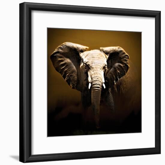 On Safari-Bobbie Goodrich-Framed Art Print