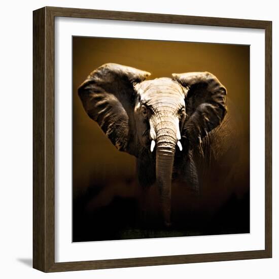 On Safari-Bobbie Goodrich-Framed Art Print
