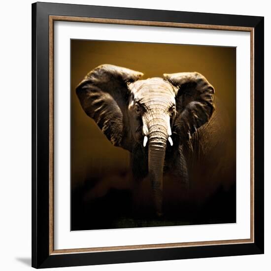 On Safari-Bobbie Goodrich-Framed Art Print