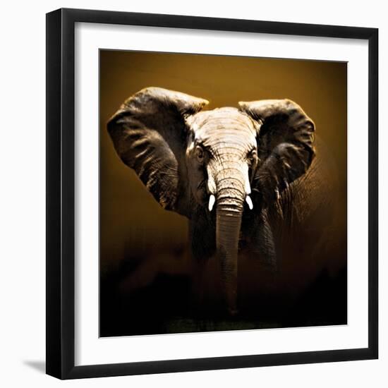 On Safari-Bobbie Goodrich-Framed Art Print