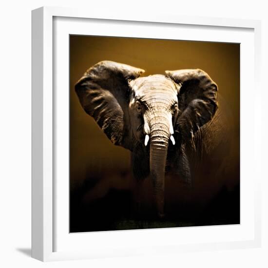 On Safari-Bobbie Goodrich-Framed Art Print