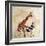 On Safari-Susannah Tucker-Framed Art Print