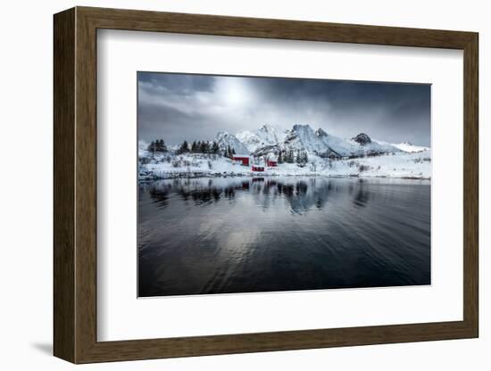 On Silent Wings-Philippe Sainte-Laudy-Framed Photographic Print