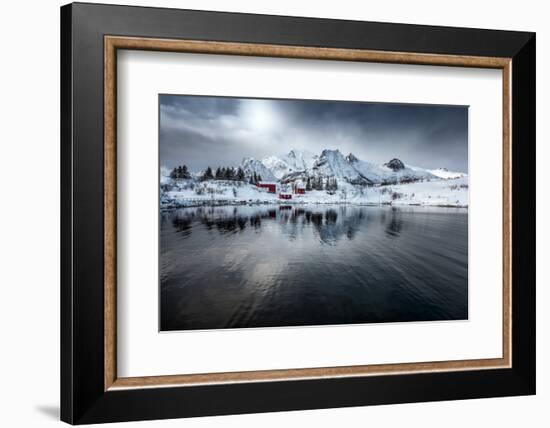 On Silent Wings-Philippe Sainte-Laudy-Framed Photographic Print