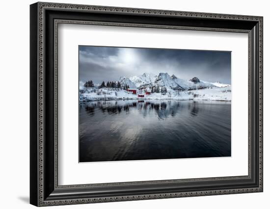 On Silent Wings-Philippe Sainte-Laudy-Framed Photographic Print