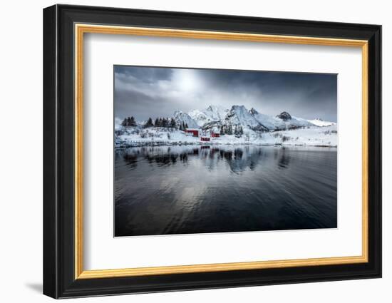 On Silent Wings-Philippe Sainte-Laudy-Framed Photographic Print