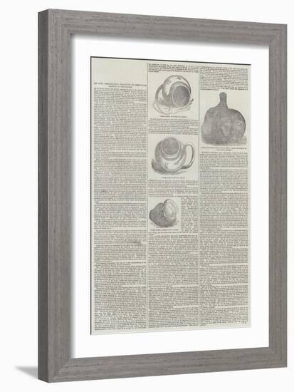 On Some Remarkable Examples of Irregular Growth in the Oyster-null-Framed Giclee Print