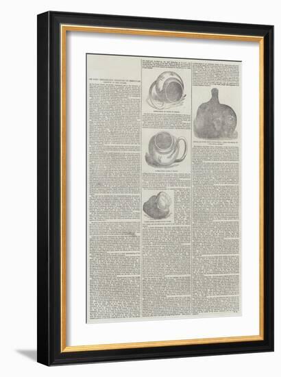 On Some Remarkable Examples of Irregular Growth in the Oyster-null-Framed Giclee Print