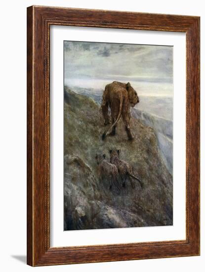 On the Alert - Lioness and Cubs, C1878-1910-John Macallan Swan-Framed Giclee Print