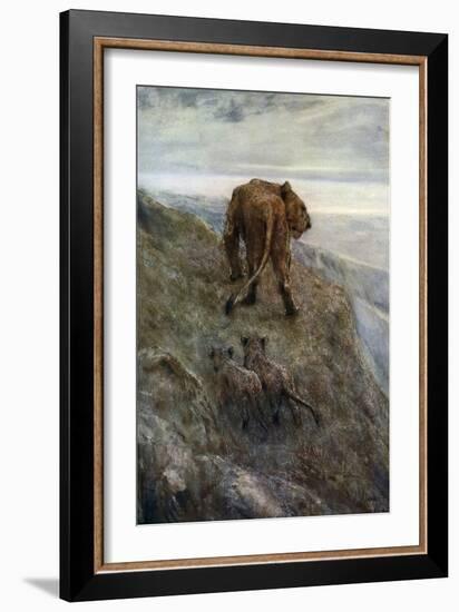 On the Alert - Lioness and Cubs, C1878-1910-John Macallan Swan-Framed Giclee Print