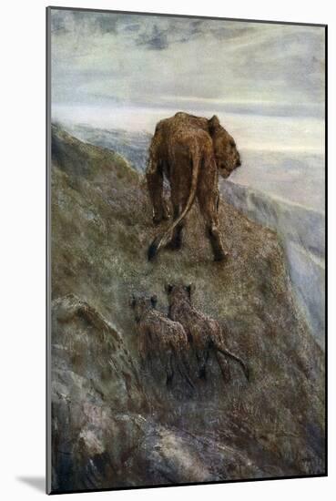 On the Alert - Lioness and Cubs, C1878-1910-John Macallan Swan-Mounted Giclee Print