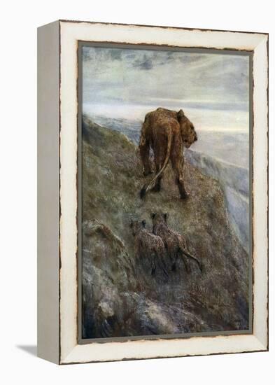 On the Alert - Lioness and Cubs, C1878-1910-John Macallan Swan-Framed Premier Image Canvas