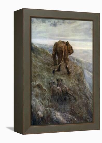 On the Alert - Lioness and Cubs, C1878-1910-John Macallan Swan-Framed Premier Image Canvas