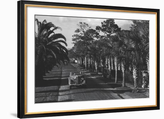 On The Avenue-Philip Gendreau-Framed Giclee Print