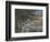 On the Bank of the Seine, Bennecourt, 1868-Claude Monet-Framed Giclee Print