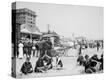 Stretched Canvas Print