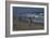 On The Beach, New Jersey Shore, 2014-Anthony Butera-Framed Giclee Print