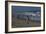 On The Beach, New Jersey Shore, 2014-Anthony Butera-Framed Giclee Print