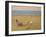 On the Beach (Oil on Canvas)-John Lavery-Framed Giclee Print