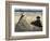 On the Beach-Edouard Manet-Framed Art Print