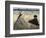 On the Beach-Edouard Manet-Framed Art Print